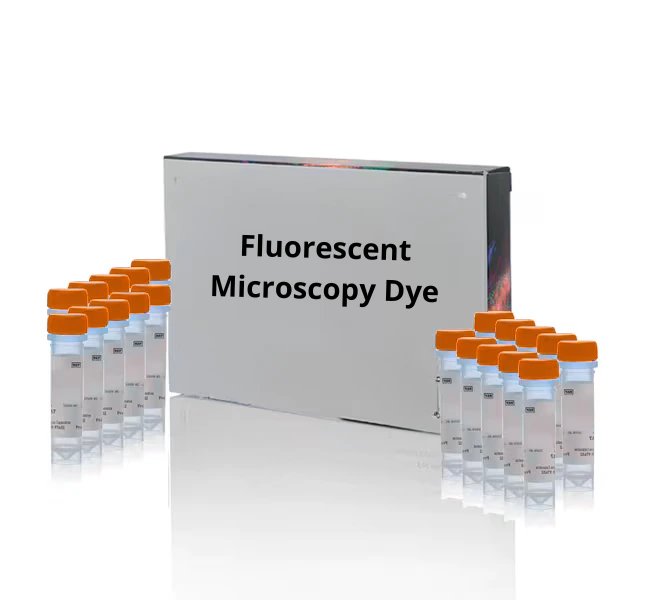 BCECF, AM [2',7'-bis-(2-carboxyethyl)-5-(and-6)-carboxyfluorescein, acetoxymethyl ester] - 5mM solution in anhydrous DMSO - 50 μL
