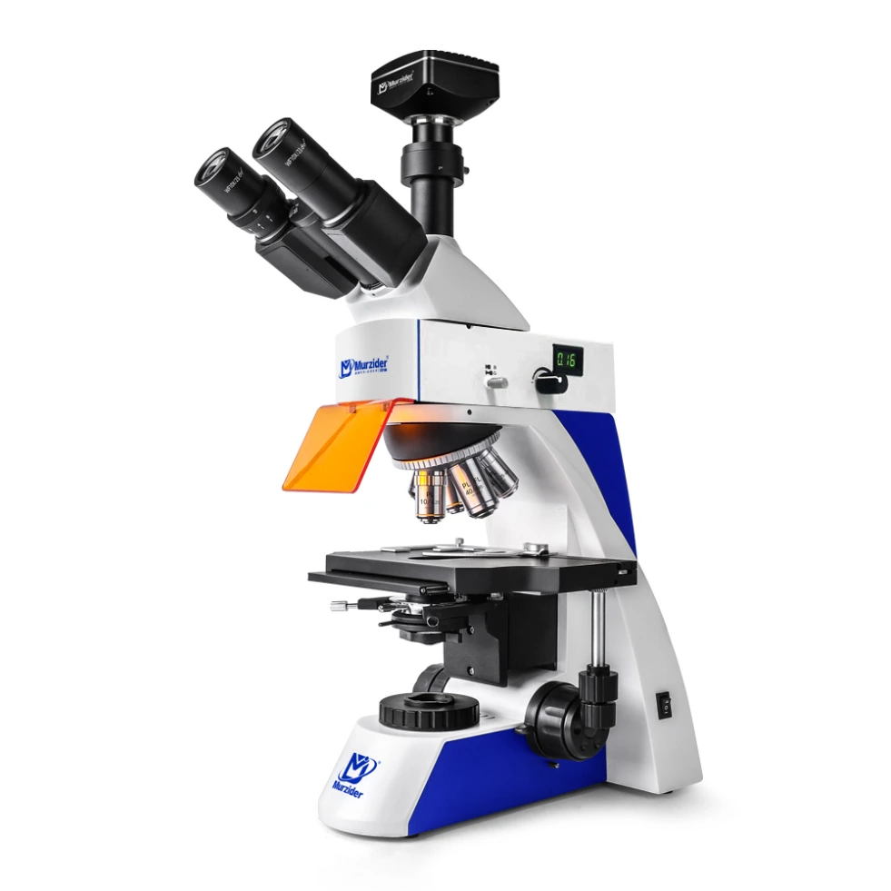 Fluorescence Microscope