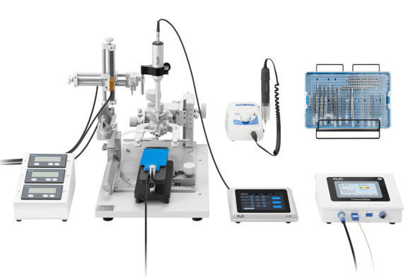 18°Ear Bars for Rat, One pair